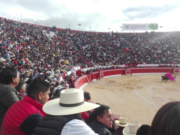 65155347_2056728457965521_4321065806508064768_o