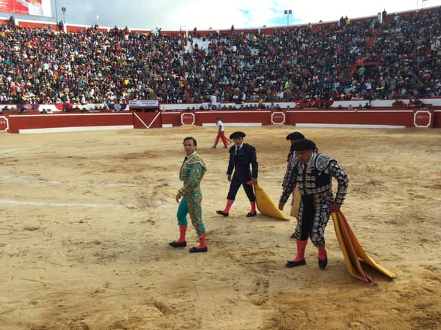 65310081_3026271887413557_5739224519717945344_n