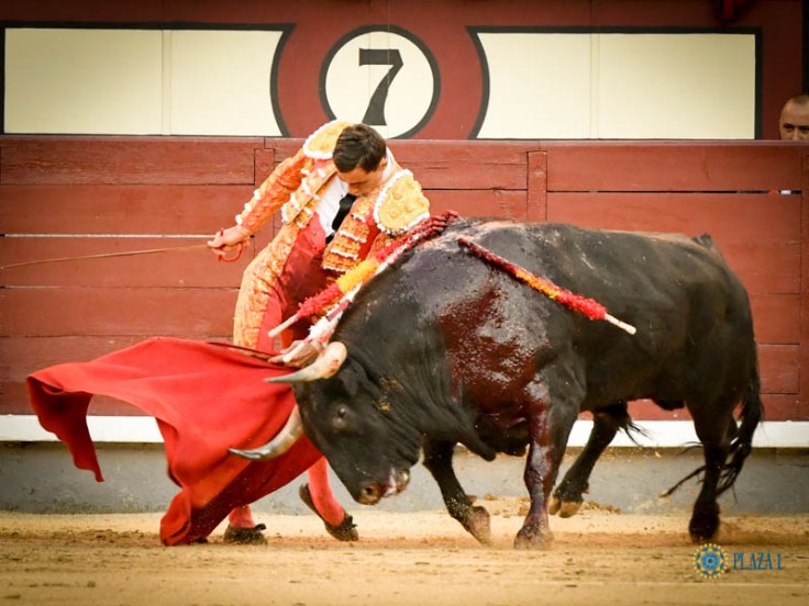 baafc365679bf6716a30895f3ecece8e59756d2ab1fa5948c9e72266cb7f4a1a