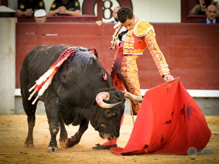 c21912661cd04d571439d1db86f533ed141662c4e9e439f0d80fe28268ee3d07