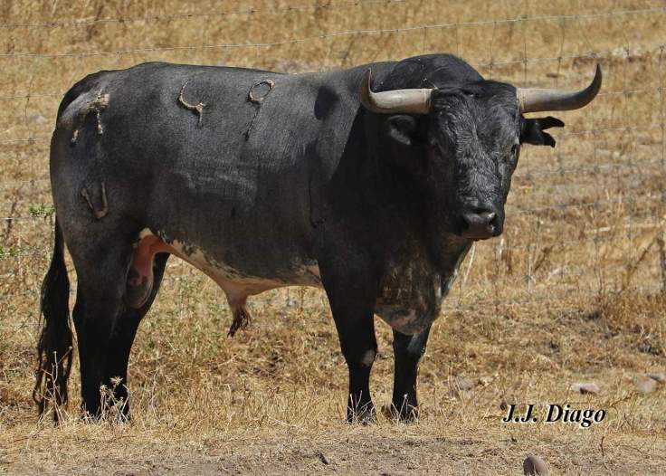 FB_IMG_1561739493545