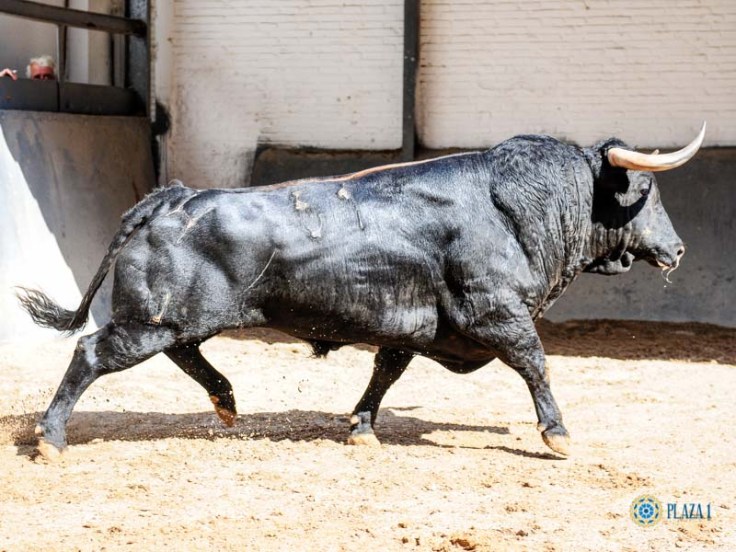 fe6ec269e93dd3b49ea6d335b6bd25e7bd9d8208ff490b0b1e07d13e98ace0c8