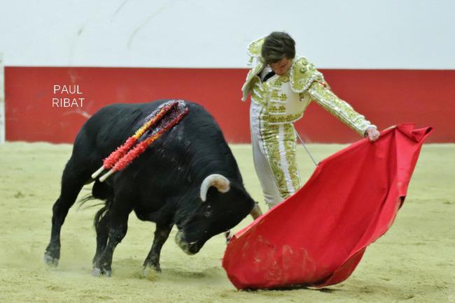 WhatsApp Image 2019-02-25 at 12.05.44 PM