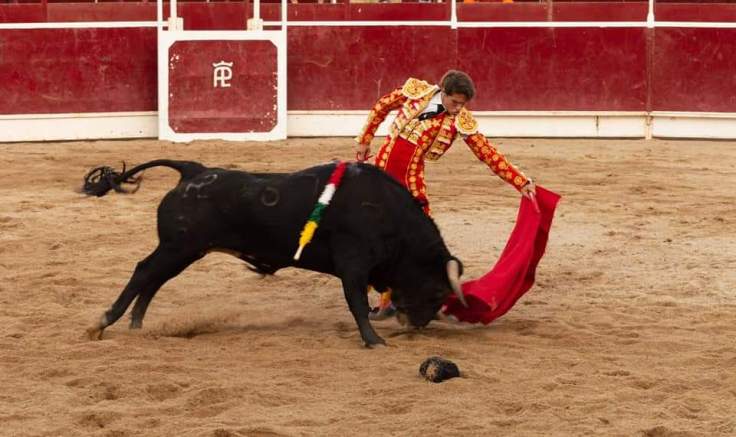 WhatsApp Image 2019-06-30 at 16.53.04 (2)