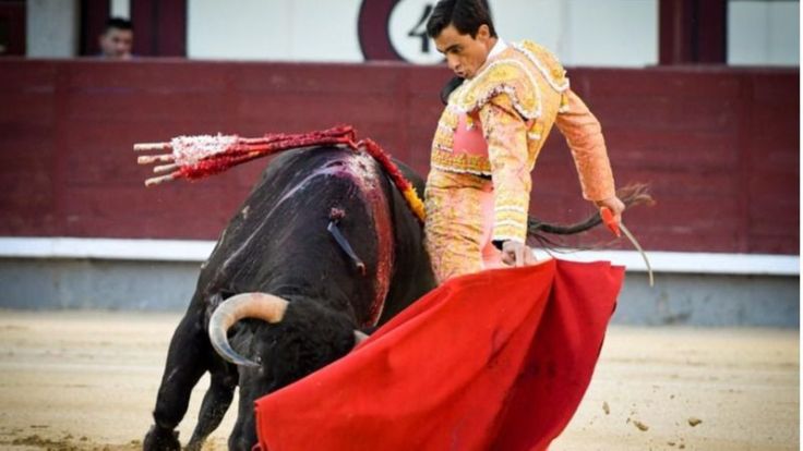 185541_316625_ureapaconatural