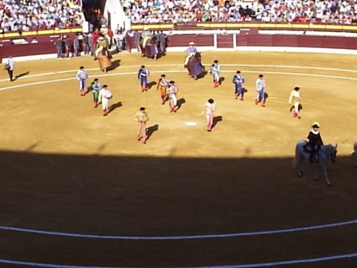 3c8492a8ae66d1bde7f2d32c328daac4