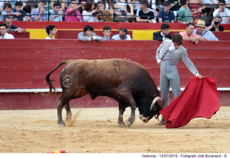 66581011_2285530758160788_4941661629860282368_o