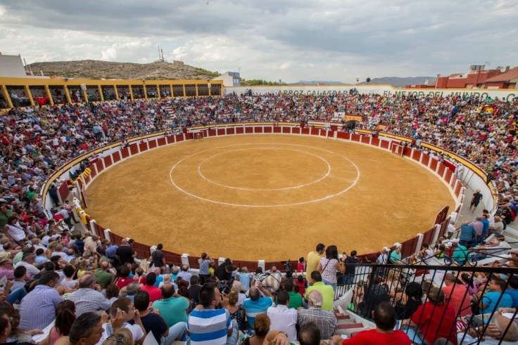 PLAZA TOROS CALASPARRA
