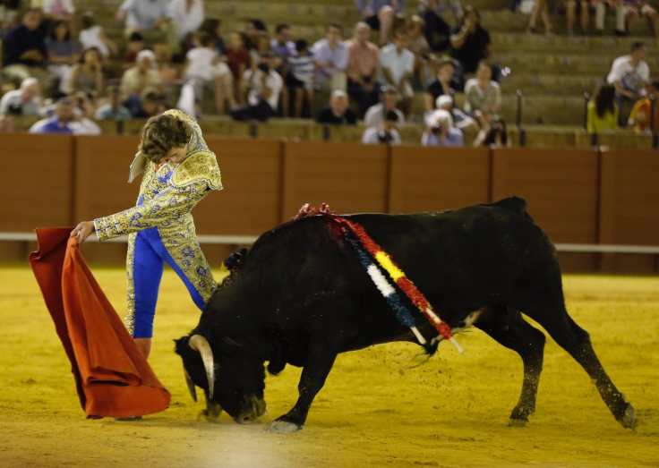 WhatsApp Image 2019-07-08 at 16.40.44