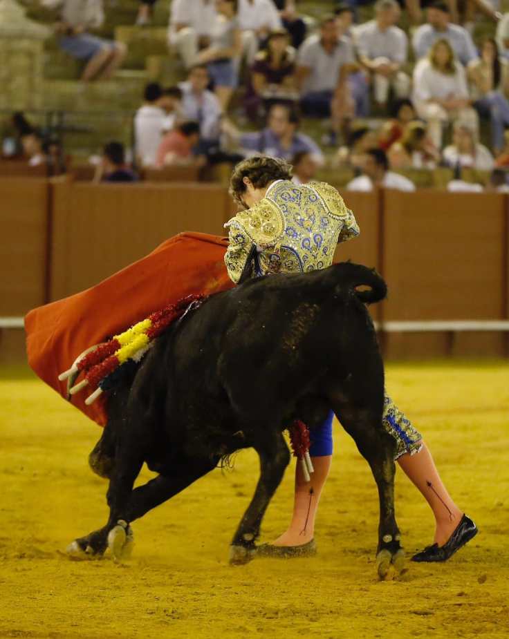 WhatsApp Image 2019-07-08 at 16.40.53