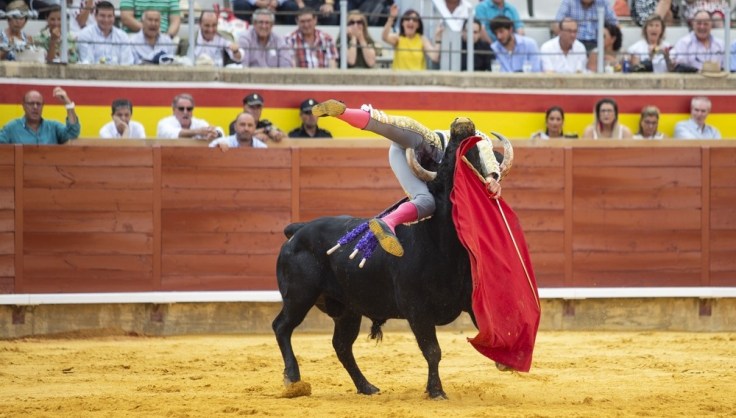 E706B28F-BB67-13D7-E8C34FE44E74F7EF