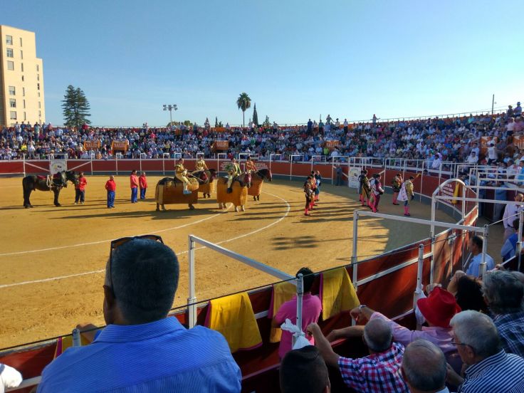 IMG-20160926-WA0019-2