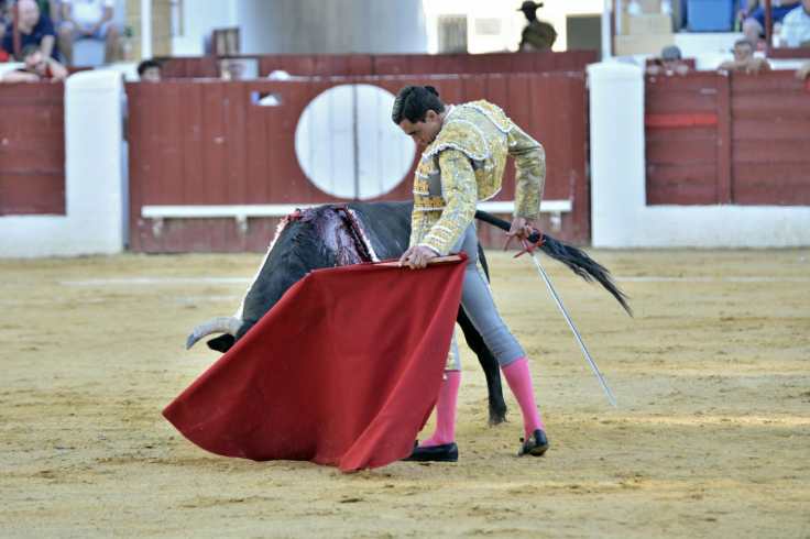 WhatsApp Image 2019-08-10 at 20.24.05 (1).jpeg