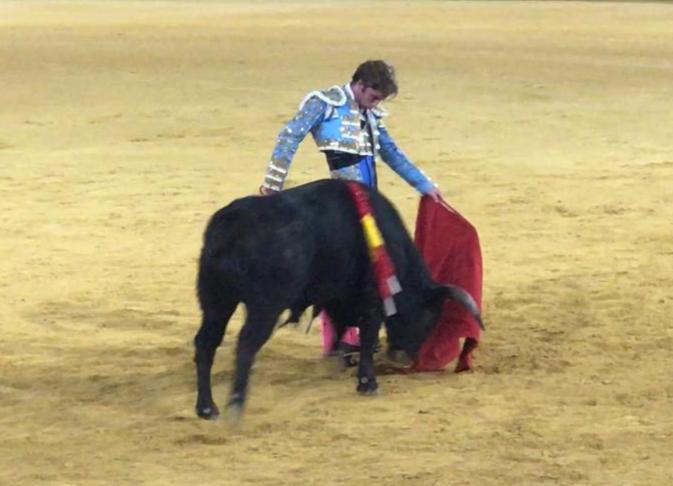 WhatsApp Image 2019-08-23 at 22.17.38