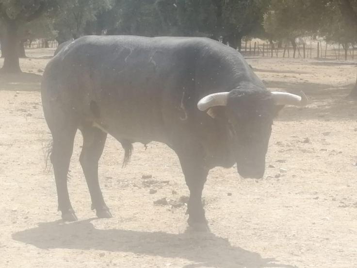 WhatsApp Image 2019-08-26 at 10.00.10