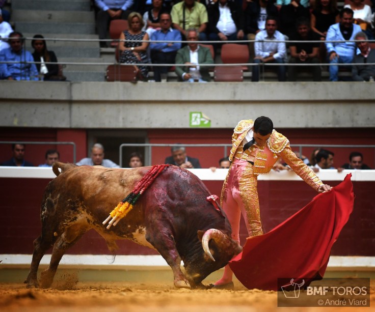 0D17C984-E267-4C6C-8D17-0398E67A26DE