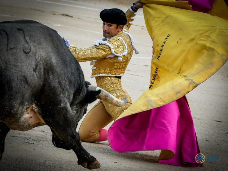 12c244cca879d942c5bcd9d3c754e003a37749e2c1dcda560aa9c44c6746537e