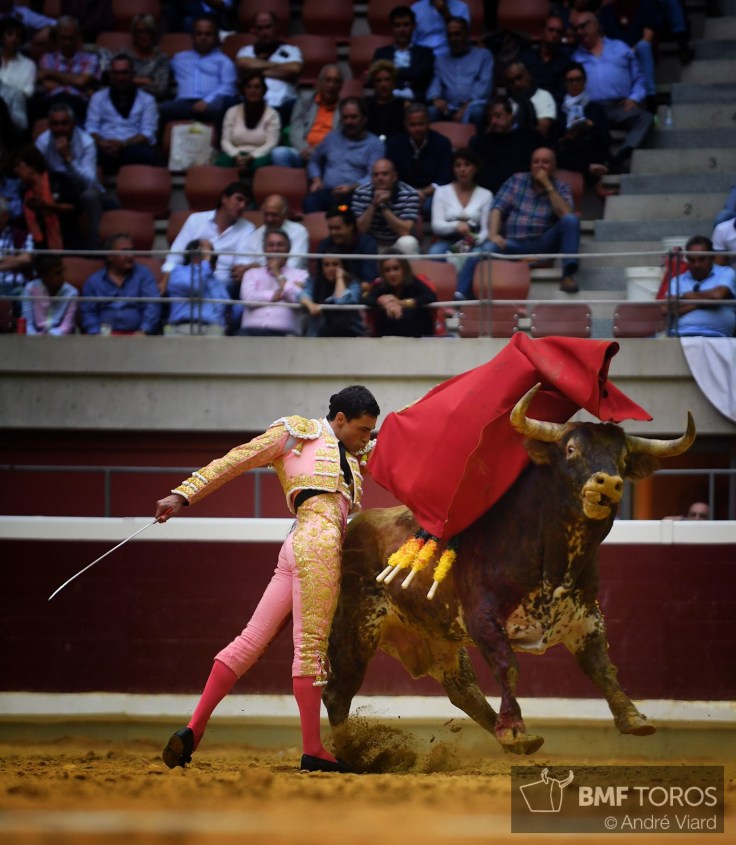 1AD5D4EF-A93D-4907-899F-1837758352AC