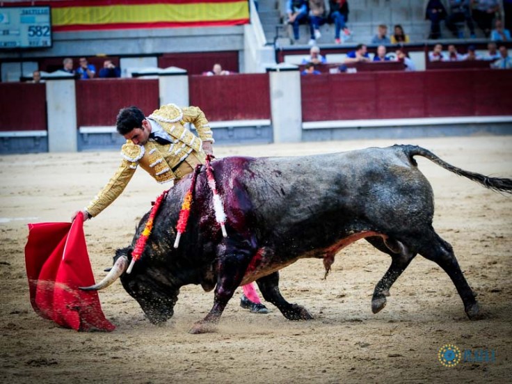 5e2eaaa584645d396fa257276be70a83f0737a608b6f1d2a54f40a904251f041