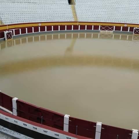 70741521_2363672727294508_6970147831625547776_n