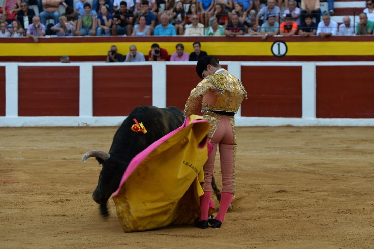 ALEJANDRO MORA (1) copia