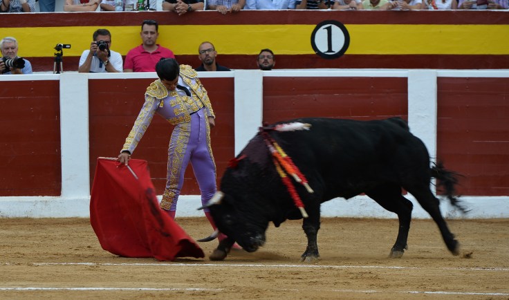 DIEGO SAN ROMAN (1) copia