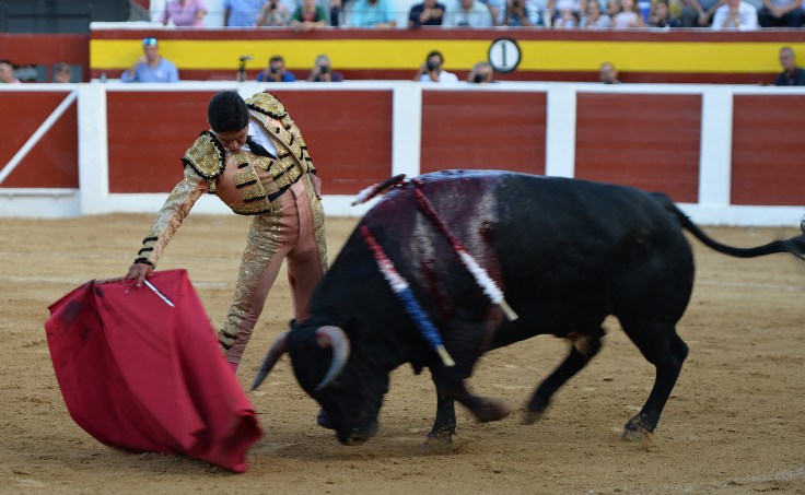 HECTOR GUTIERREZ (4) copia