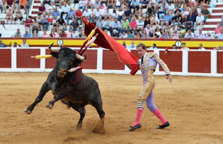 IGNACIO OLMOS (1) copia