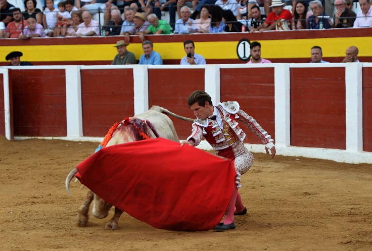 MAXIME SOLERA (1) copia