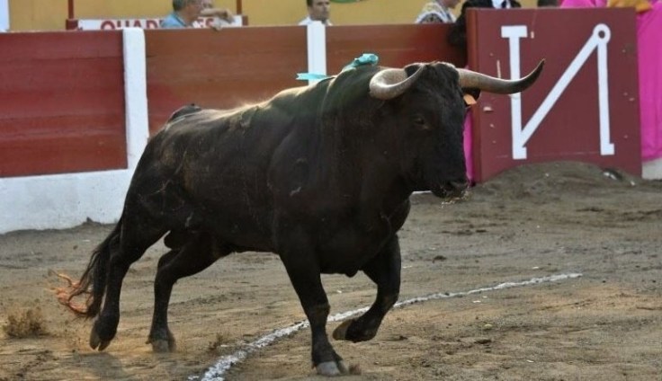 ob_1ef6a6_dopesvdxgaicmnl