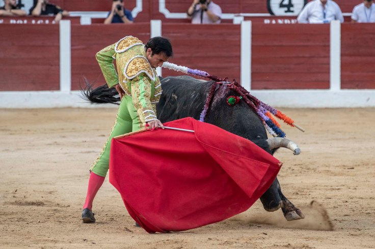 Sotomayor- Chipe Producciones-15