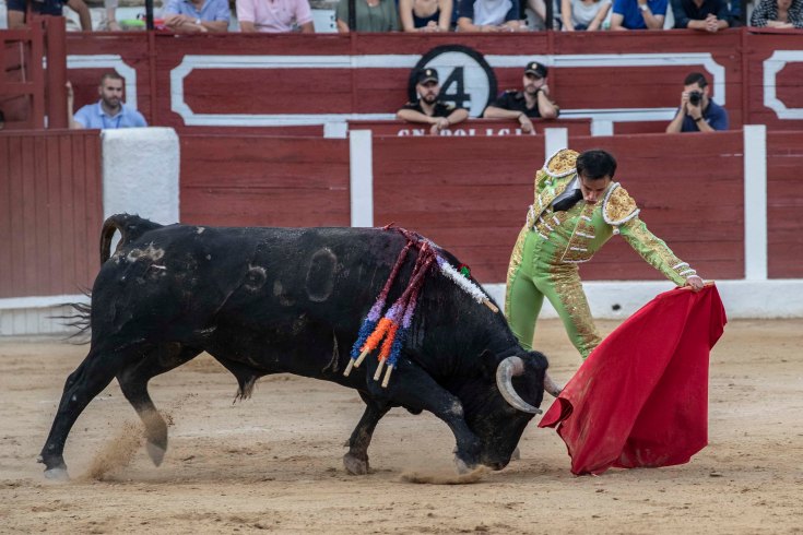 Sotomayor- Chipe Producciones-19