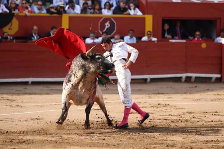 73301828_1012574112426136_6102614122015227904_n