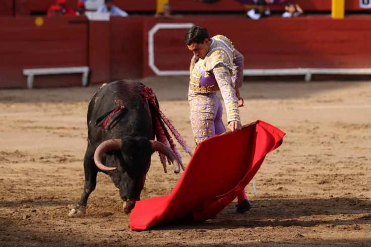 73504878_1012586242424923_3031583892579549184_n