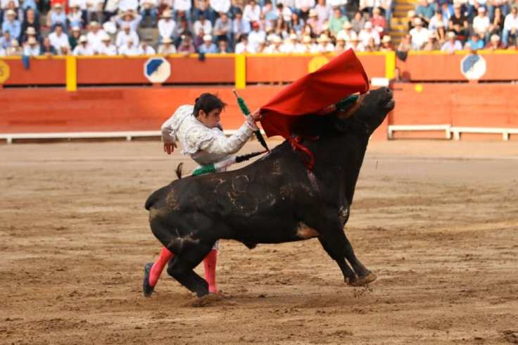 74268507_1012618459088368_1655070715575009280_n