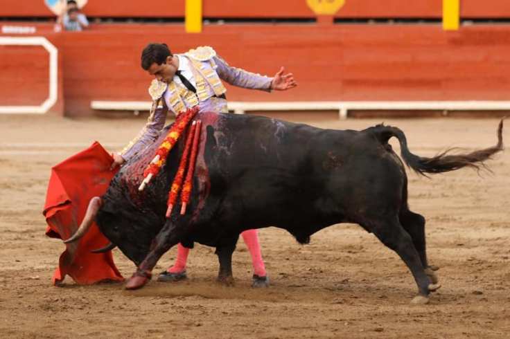 74624063_1012632462420301_2645200272330063872_n