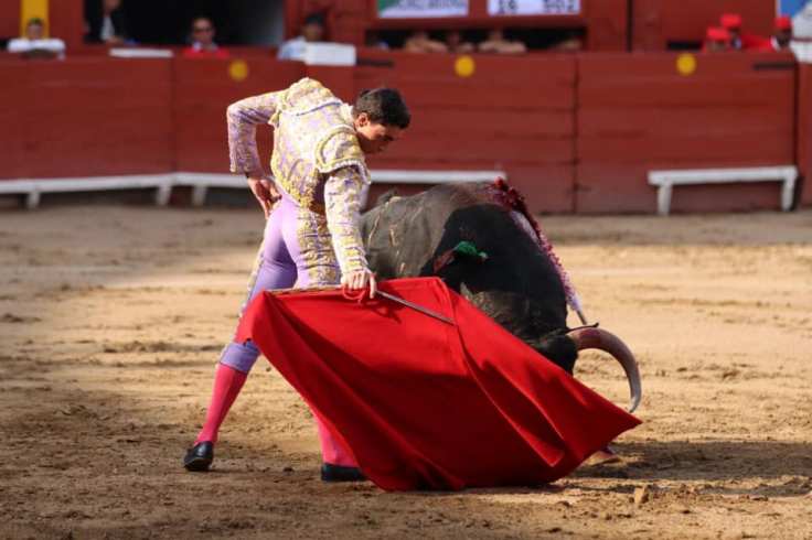 74877394_1012586155758265_6552890723732029440_n