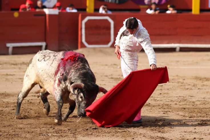 75061074_1012574105759470_7528541524825473024_n