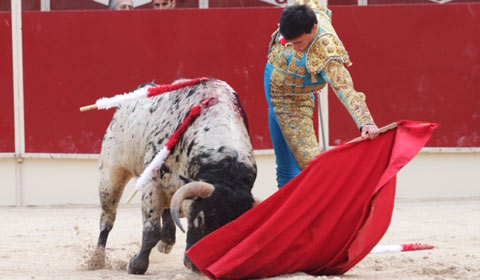 filiberto-blanca-8-3-15-480