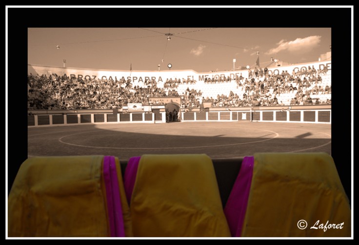 1- CAPOTES EN BURLADERO