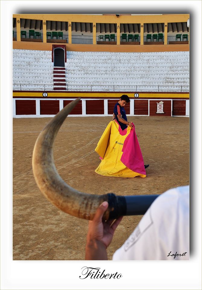 67248265_2365473843737394_3795796000606519296_o