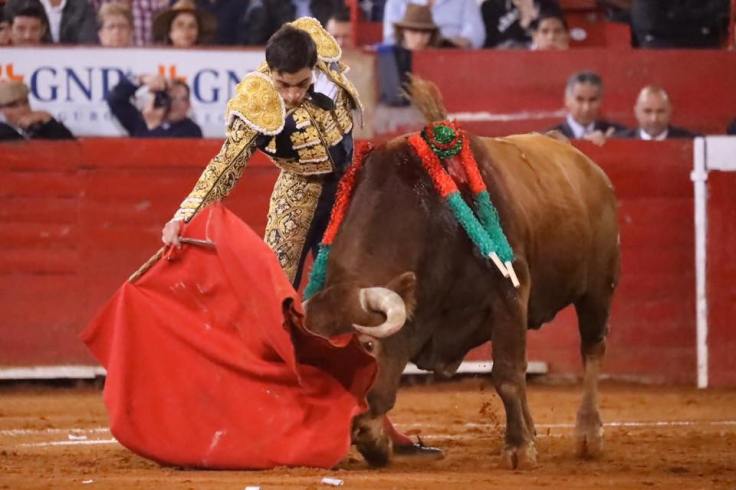 79036421_799327937161895_4347365304305713152_n