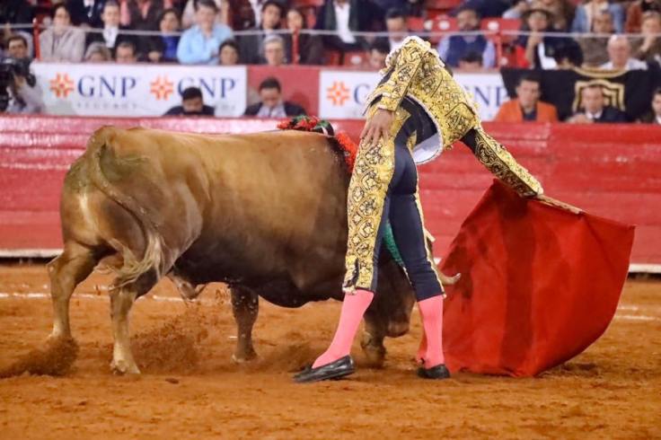 79149651_799327957161893_379247149835091968_n