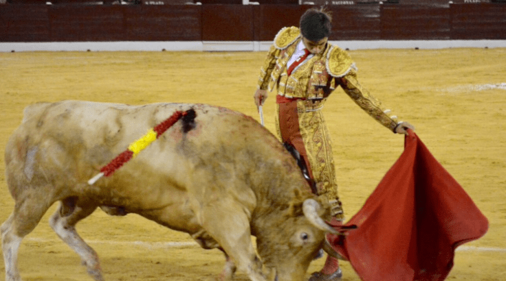 FRAN FERRER EL MULETAZO.png