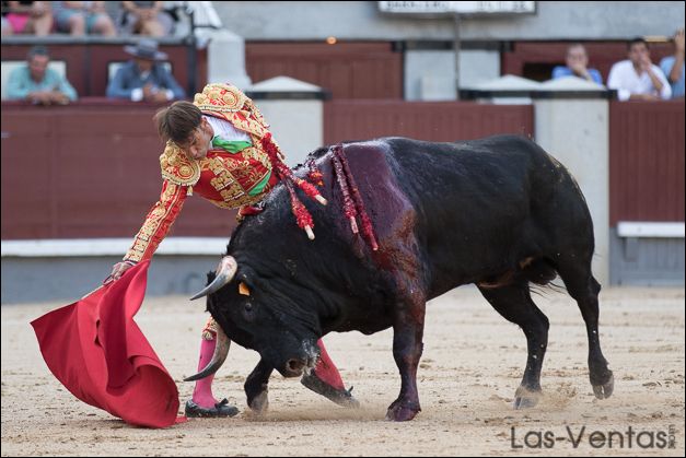 jose manuel el muletazo.jpg