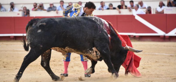 9a7570b5a04bb070e731d2f66bdc7c6c_xl27