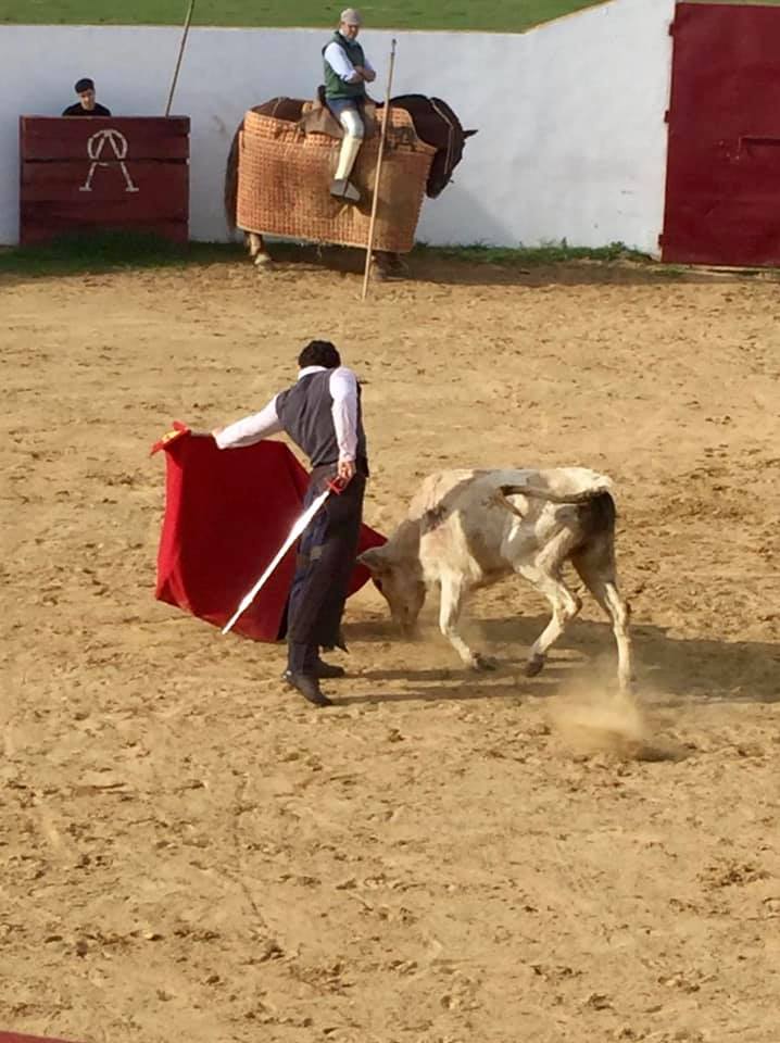 85013052_2924215370932353_3439778825636937728_n