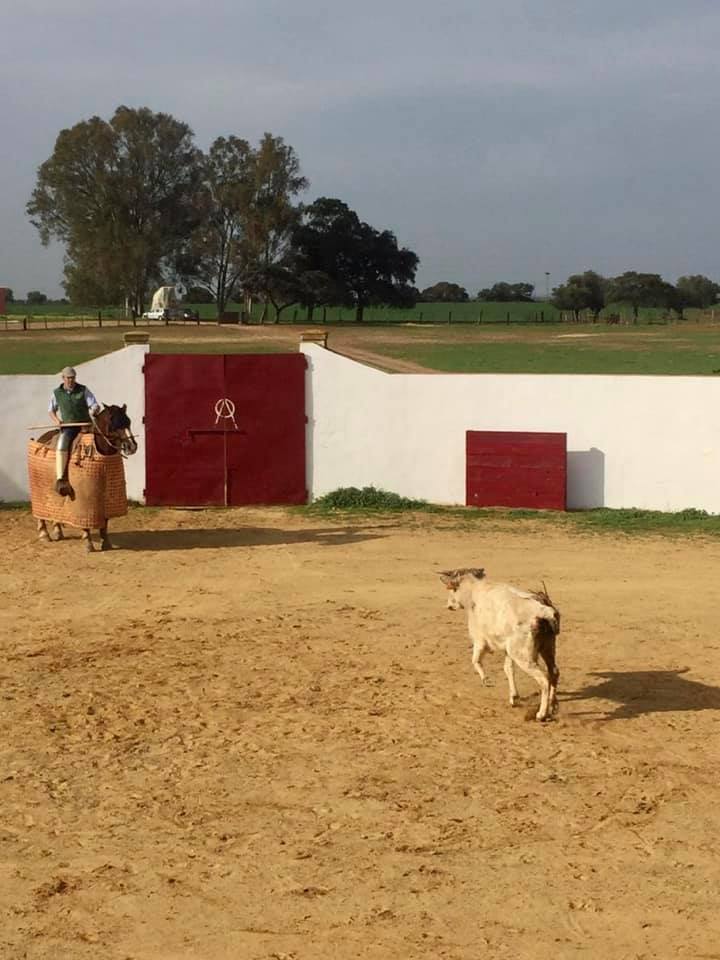 85157673_2924215357599021_5978358093916930048_n