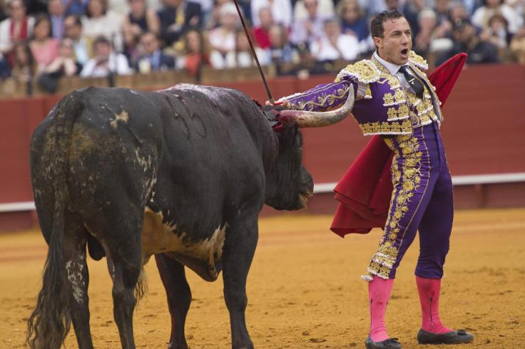 rafaelillo-cierra-la-feria-cortando-una-oreja-a-un-miura