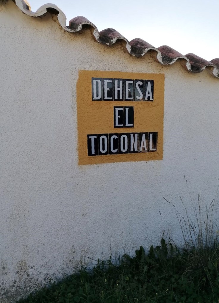 ESTAMOS EN LA FINCA